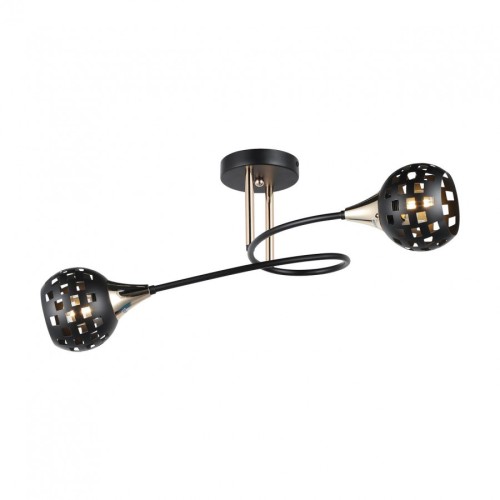 Потолочный светильник MD.19074-2-S-BK+FGD