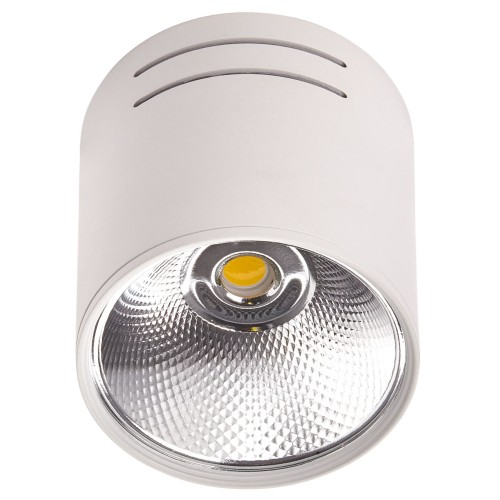 Светильник LED 1*10W потолочный спот Белый IL.0005.4015