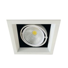 Светильник карданный LED 1*20W встраиваемый, WH IL.0006.2115