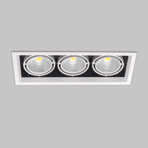 Светильник карданный LED 3*20W встраиваемый, WH IL.0006.2315